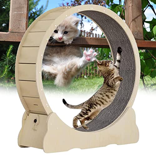 Cat Wheel, Cat Wheel Exercise, Cat Wheel Laufband Mit Teppichlaufbahn, Leises Cat Running Riesenrad, Cat Wheel Exerciser Für Indoor-Katzen,Woodcolor-S von XDLYWUZIQ