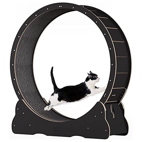 Katzen-laufband Mit Lückenlosem Design, Katzen-laufrad, Fitness-gewichtsverlustgerät, Leises Und Robustes Hamsterrad Für Kätzchen, Geräuscharme, Niedliche Katzenmöbel,Black-M von XDLYWUZIQ