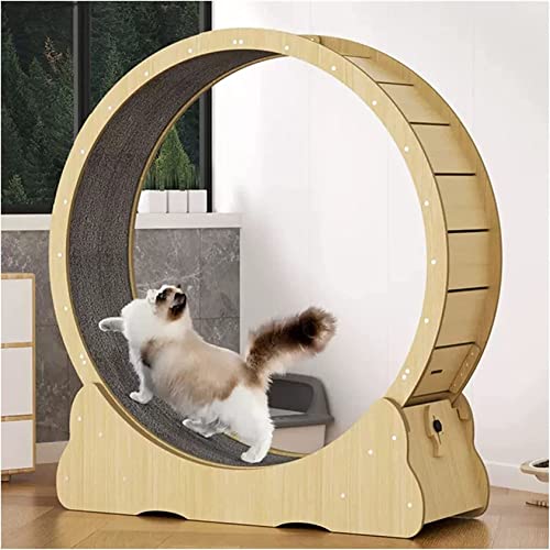 Katzen-laufband Mit Lückenlosem Design, Katzen-laufrad, Fitness-gewichtsverlustgerät, Leises Und Robustes Hamsterrad Für Kätzchen, Geräuscharme, Niedliche Katzenmöbel,Woodcolor-L von XDLYWUZIQ