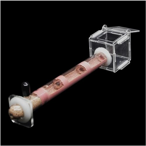 1 Reagenzgläser Ameisenfarm Acryl Ameisennest Ameisen Haus Ant Nest Insekt Villa Ameisenhaufen Pet Farmen Kit Formicarium Display Box (Color : B-18-180MM)-1 von XENITE