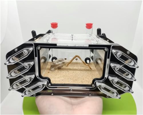 14 Reagenzgläser Gips Ameisenfarm Acryl Ameisennest Fütterungshaus Formicarium Ameisen Farmen Set Futterbox Werkstatt Beobachten Sie Lebende Ameisen (Color : B, Size : 27.7x22x13.5cm)-1 von XENITE