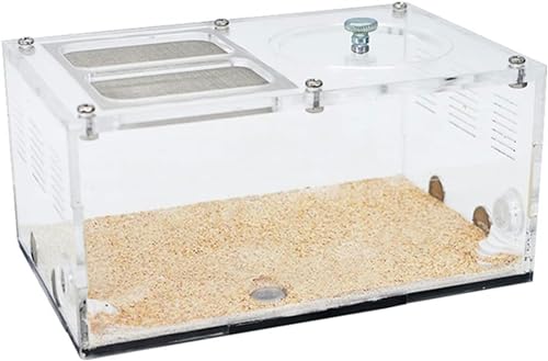 Acryl Ameisen Farm Spleißbares Ameisennest Mit Intelligenter Temperaturregelung Ameisenhaufen Beton Ameisenhaus AntHouse Formicarium Insektenvilla Lernendes Naturwissenschaftliches Kit (Color : C)-1 von XENITE