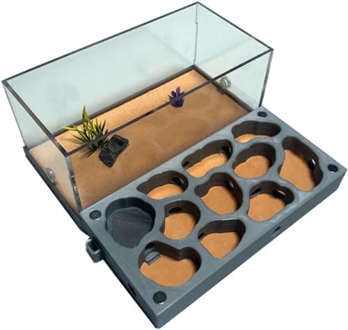 Acryl Ameisennest Ameisenfarm Gips Ameisenhaus Formicarium Ameisen Zucht Box Ant Nest Farm Lebende Ameisen (Color : A)-1 von XENITE