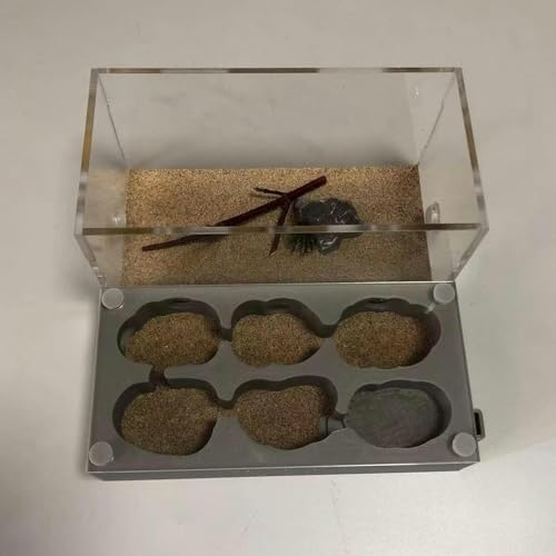 Acryl AntHouse Ameisennest Insekt Villa Natürliche Ameisenfarm Aus Sand Formicarium Display Box Set (Color : C)-1 von XENITE