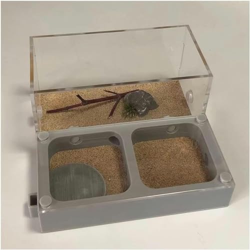 Acryl AntHouse Ameisennest Insekt Villa Natürliche Ameisenfarm Aus Sand Formicarium Display Box Set (Color : C)-1 von XENITE