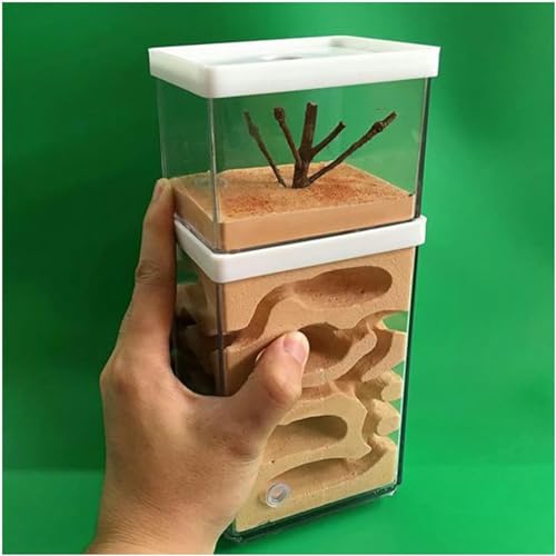 Ameisennest Natürliche Gips Ant Nest Ameisenfarm Ameisen Villa Formicarium Ameisenfutter Farm Haus Ameisen Zucht Box Ant House Für Ameisen Fütterung Habitat-1 von XENITE