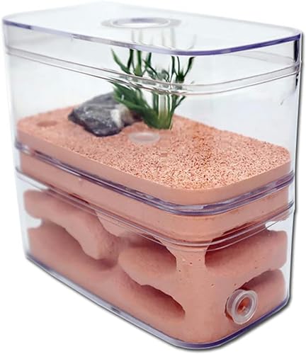 AntHouse - Gips Ameisenhaufen Ameisennest Ameisenfarm Box Ant Habitat Insektenvilla Ameisenhaus Formicarium Insekt Villa 12 * 6 * 10cm-1 von XENITE