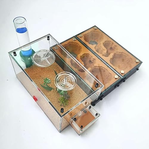 DIY Acryl Ameisenfarm Gips Formicarium Ameisennest Ameisen Haus Villa Insekt Haustier Ameisen Zucht Box Ameisenhaufen Werkstatt Ant Nest Ant Farm (Color : C)-1 von XENITE