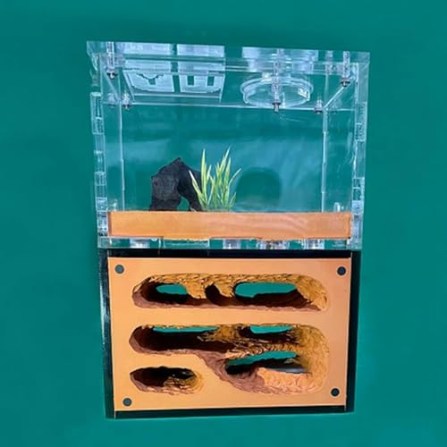 Gips Ameisenhaufen Unbegrenzte Erweiterung Ameisennest Insektenkäfig Display Box Insekt Villa Ameisenfarm Educational Formicarium Für Haus Ameisen Geburtstagsgeschenk (Color : D)-1 von XENITE