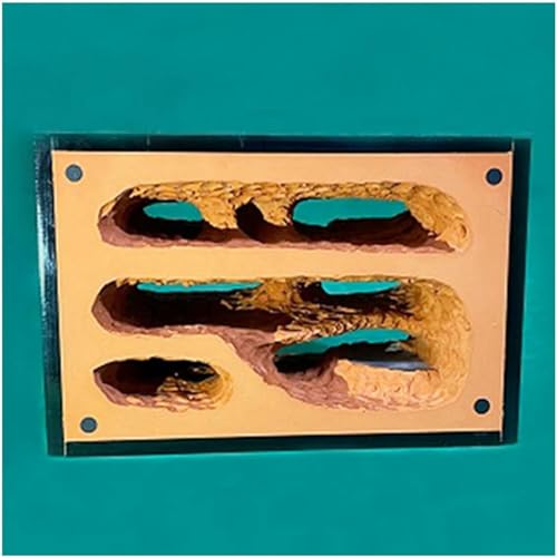 Gips Ameisenhaufen Unbegrenzte Erweiterung Ameisennest Insektenkäfig Display Box Insekt Villa Ameisenfarm Educational Formicarium Für Haus Ameisen Geburtstagsgeschenk (Color : D)-1 von XENITE