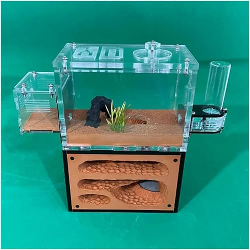 Gips Ameisenhaufen Unbegrenzte Erweiterung Ameisennest Insektenkäfig Display Box Insekt Villa Ameisenfarm Educational Formicarium Für Haus Ameisen Geburtstagsgeschenk (Color : D)-1 von XENITE