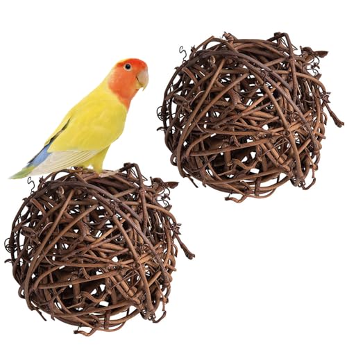 XFSRG 2 Stück Vogelspielzeug Papagei Spielzeug aus Natur Rattan Robuste 6 cm Tierspielzeug Kugel zum Knabbern Geistige Stimulation und Vogelkäfig Zubehör XFSRG 2 Stück Vogelspielzeug Papagei Spielzeug aus Natur Rattan Robuste 6 cm Tierspielzeug Kugel zum Knabbern Geistige Stimulation und Vogelkäfig Zubehör von XFSRG