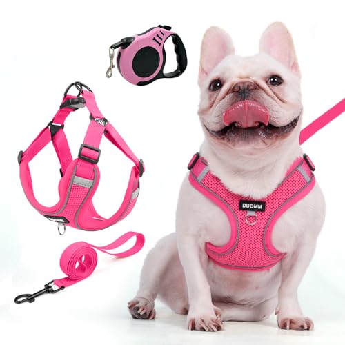 XFSRG Brustgeschirr mit Leine für Hunde in Leuchtendem Pink Atmungsaktives Hundegeschirr für Kleine Hunde und Welpen Verstellbares Geschirr mit Reflektierenden Streifen (XL) von XFSRG