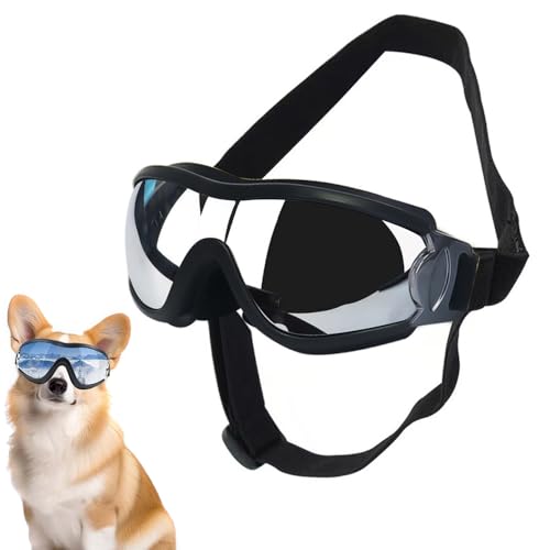 XFSRG Hunde Schutzbrille UV400 Haustier Sonnenbrille mit verstellbarem Band, Wind- & staubdicht, ideal für Outdoor, Wandern, Radfahren, Skifahren, Strand, modisches Accessoire XFSRG Hunde Schutzbrille UV400 Haustier Sonnenbrille mit verstellbarem Band, Wind- & staubdicht, ideal für Outdoor, Wandern, Radfahren, Skifahren, Strand, modisches Accessoire von XFSRG