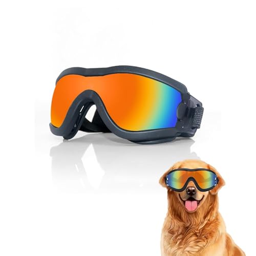 XFSRG Hundebrille Sonnenbrille für Hunde mit UV Schutz Wind- und Staubdicht Verstellbar Stylisch & Bequem für Outdoor-Aktivitäten Ideal zum Laufen Radeln & Reisen (M) von XFSRG
