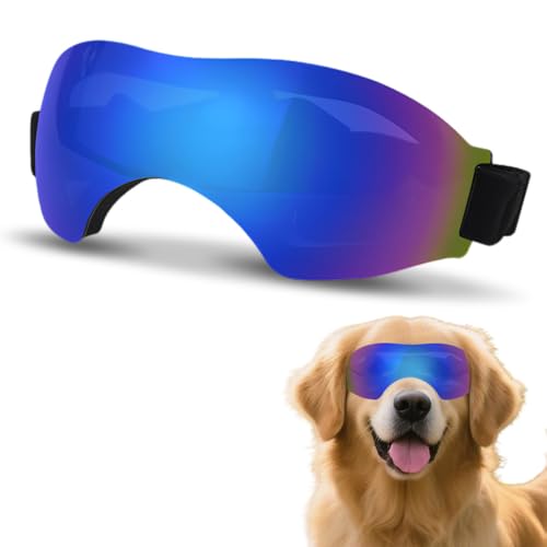 XFSRG Hundebrille Sonnenschutz Hund Sonnenbrille für Kleine Hunde Modische Brille für Outdoor Aktivitäten (Blau) von XFSRG