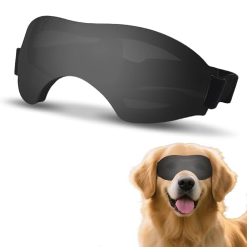 XFSRG Hundebrille Sonnenschutz Hund Sonnenbrille für Kleine Hunde Modische Brille für Outdoor Aktivitäten (Schwarz) von XFSRG