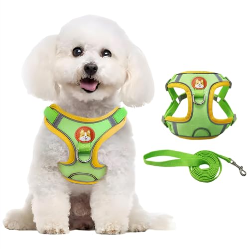 XFSRG Hundegeschirr Für Kleine Hunde Atmungsaktives Brustgeschirr Hund Klein Verstellbares Dog Harness Mit Leine Ideal Für Spaziergänge Und Training(M) von XFSRG