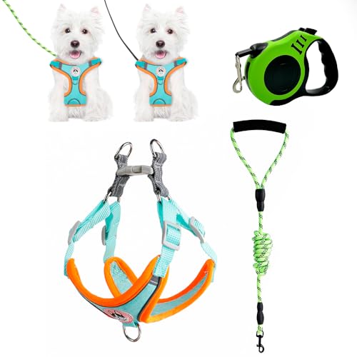 XFSRG Hundegeschirr mit Leine Für Kleine Hunde Farblich Auffälliges Welpengeschirr Bequemes Hundegeschirr Welpen Für Spaziergänge (S) von XFSRG