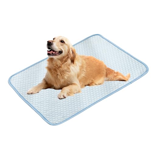 XFSRG Hundekühlmatte Aus Hochwertigem Polyester Für Hunde Kühldecke Für Haustiere Ideal Für Sommerliche Temperaturen (Hellblau, 70x100cm) von XFSRG