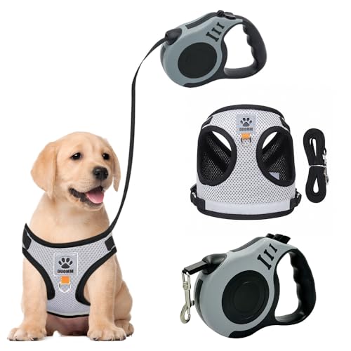 XFSRG Katzengeschirr mit Leine Verstellbares Katzengeschirr Ausbruchsicher Katzen Geschirr Set Katzenleine mit Reflektierenden Streifen Automatisch Einziehbares Abschleppseil（M） von XFSRG