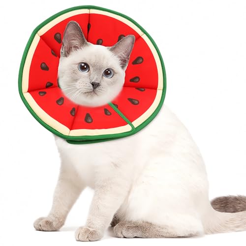 XFSRG Obstmotiv Halskrause Katze Einstellbar Weich und Bequem Halsband Katze Wasserdicht Pet Protector Verhindert das Lecken für die Postoperative Genesung XFSRG Obstmotiv Halskrause Katze Einstellbar Weich und Bequem Halsband Katze Wasserdicht Pet Protector Verhindert das Lecken für die Postoperative Genesung von XFSRG