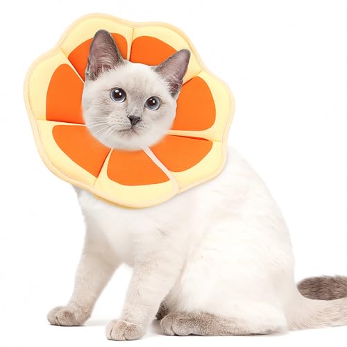 XFSRG Obstmotiv Halskrause Katze Einstellbar Weich und Bequem Halsband Katze Wasserdicht Pet Protector Verhindert das Lecken für die Postoperative Genesung XFSRG Obstmotiv Halskrause Katze Einstellbar Weich und Bequem Halsband Katze Wasserdicht Pet Protector Verhindert das Lecken für die Postoperative Genesung von XFSRG