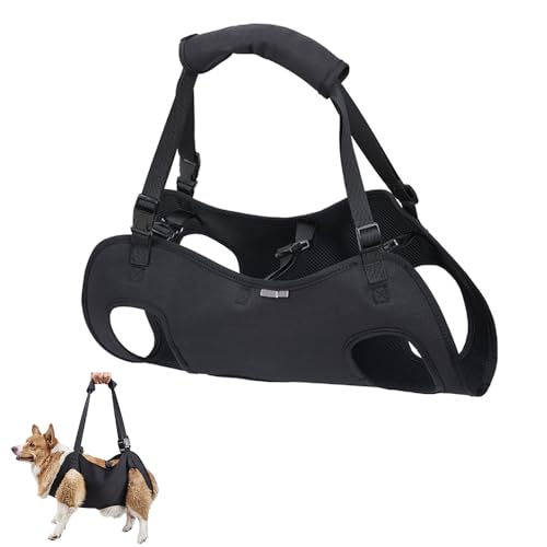 XFSRG Tragehilfe Hund Hebegeschirr Hinterbeine Hüftstütze mit Griffen Verstellbare für Behinderte Verletzte oder Ältere Hunde (Schwarz, XL) von XFSRG