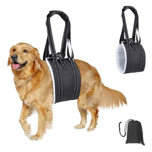 XFSRG Tragehilfe Hund Hinten Lift Support Geschirr Tragbaren Schnalle auf der Rückseite Hundegeschirr für Behinderte Verletzte oder Ältere Hunde(Schwarz/S) von XFSRG
