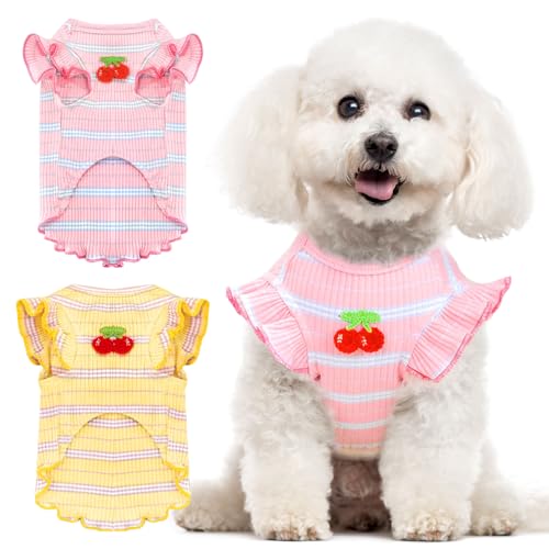 XGDMEIL 2 Stück gestreifte Hunde-Shirts für kleine Hunde und Katzen (Größe M) von XGDMEIL