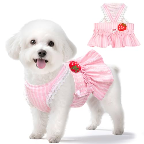 XGDMEIL Süßes Erdbeer-Kleid für kleine Hunde mit D-Ring, Prinzessinnen-Spitze, für Frühling und Sommer, atmungsaktives Netzgewebe, für Shih Tzu, Yorkies, Chihuahua, Rosa, Größe XXL XGDMEIL Süßes Erdbeer-Kleid für kleine Hunde mit D-Ring, Prinzessinnen-Spitze, für Frühling und Sommer, atmungsaktives Netzgewebe, für Shih Tzu, Yorkies, Chihuahua, Rosa, Größe XXL von XGDMEIL