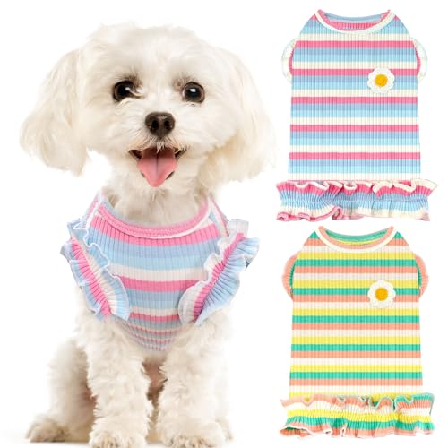 XGDMEIL Süßes Hunde-Shirt für kleine Hunde und Katzen, Violett + Grün, Größe M XGDMEIL Süßes Hunde-Shirt für kleine Hunde und Katzen, Violett + Grün, Größe M von XGDMEIL