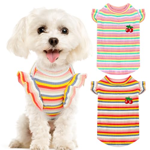 XGDMEIL Süßes Hunde-Shirt für kleine Hunde und Katzen (Rosa + Orange, Größe XX-Large) von XGDMEIL
