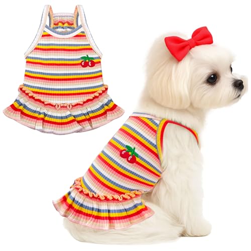 XGDMEIL Süßes Kleid für kleine Hunde, Mädchen, Hündinnen, Frühling, Sommer, Haustier, Welpen, Katzen, gestreiftes Kleid, Outfits für Shih Tzu, Yorkies, Chihuahua, Malteser, Kirschorange, Größe S XGDMEIL Süßes Kleid für kleine Hunde, Mädchen, Hündinnen, Frühling, Sommer, Haustier, Welpen, Katzen, gestreiftes Kleid, Outfits für Shih Tzu, Yorkies, Chihuahua, Malteser, Kirschorange, Größe S von XGDMEIL