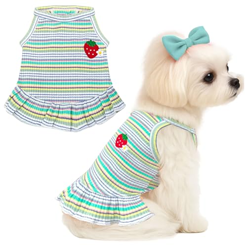 XGDMEIL Süßes Kleid für kleine Hunde, Mädchen, Hündinnen, Frühling, Sommer, Haustier, Welpen, Katzen, gestreiftes Kleid, Outfits für Shih Tzu, Yorkies, Chihuahua, Malteser (Erdbeergrün, Größe L) XGDMEIL Süßes Kleid für kleine Hunde, Mädchen, Hündinnen, Frühling, Sommer, Haustier, Welpen, Katzen, gestreiftes Kleid, Outfits für Shih Tzu, Yorkies, Chihuahua, Malteser (Erdbeergrün, Größe L) von XGDMEIL