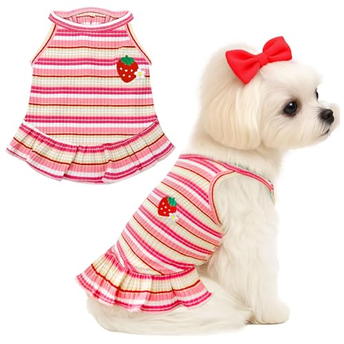 XGDMEIL Süßes Kleid für kleine Hunde, Mädchen, Hündinnen, Frühling, Sommer, Haustier, Welpen, Katzen, gestreiftes Kleid, Outfits für Shih Tzu, Yorkies, Chihuahua, Malteser (Erdbeerrosa, Größe S) XGDMEIL Süßes Kleid für kleine Hunde, Mädchen, Hündinnen, Frühling, Sommer, Haustier, Welpen, Katzen, gestreiftes Kleid, Outfits für Shih Tzu, Yorkies, Chihuahua, Malteser (Erdbeerrosa, Größe S) von XGDMEIL