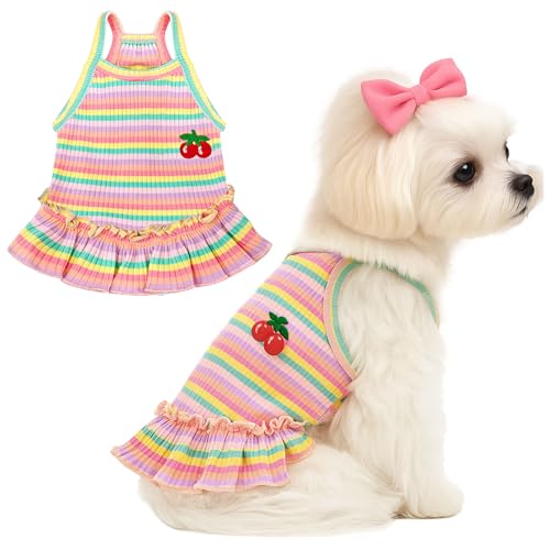 XGDMEIL Süßes Kleid für kleine Hunde, Mädchen, Hündinnen, Frühling, Sommer, Haustier, Welpen, Katzen, gestreiftes Kleid, Outfits für Shih Tzu, Yorkies, Chihuahua, Malteser (Kirschrosa, Größe M) XGDMEIL Süßes Kleid für kleine Hunde, Mädchen, Hündinnen, Frühling, Sommer, Haustier, Welpen, Katzen, gestreiftes Kleid, Outfits für Shih Tzu, Yorkies, Chihuahua, Malteser (Kirschrosa, Größe M) von XGDMEIL