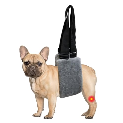 XGOPTS Tragehilfe Hund Unterstütztes Gehen Tragegeschirr Hundeschlinge Kleine Mittlere Hunde Gehhilfe Sicherheitsunterstützung Tragehilfe für behinderte, verletzte oder ältere Hunde XGOPTS Tragehilfe Hund Unterstütztes Gehen Tragegeschirr Hundeschlinge Kleine Mittlere Hunde Gehhilfe Sicherheitsunterstützung Tragehilfe für behinderte, verletzte oder ältere Hunde von XGOPTS