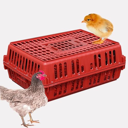 Geflügeltransportbox, Geräumiger Mehrzweck-Hühnertransporter, Hühnertransportbox aus Kunststoff, Jaulas para Gallinas, Stärkere Tragfähigkeit, for Geflügel, Hühner, Vögel, Enten(Red) von XGQXZWC