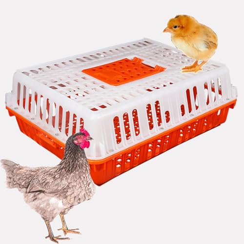 Geflügeltransportbox, Geräumiger Mehrzweck-Hühnertransporter, Hühnertransportbox aus Kunststoff, Jaulas para Gallinas, Stärkere Tragfähigkeit, for Geflügel, Hühner, Vögel, Enten(White) von XGQXZWC