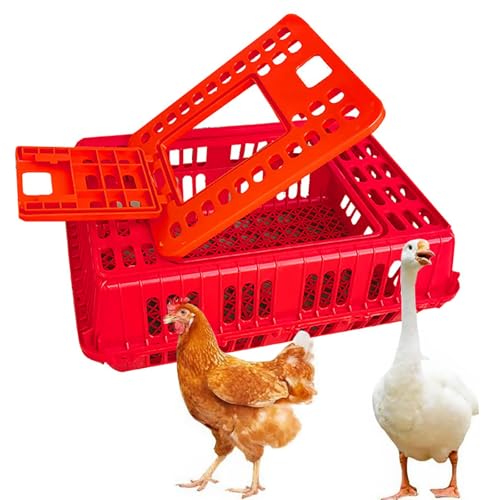Geflügeltransportkiste, Hühnertransportkäfig aus Kunststoff, Geflügeltransportkorb, Design mit Vier Eckversteifungen, Design mit Doppelter Käfigtür, Große Kapazität, for Geflügel, Hühner, Vögel(Red) Geflügeltransportkiste, Hühnertransportkäfig aus Kunststoff, Geflügeltransportkorb, Design mit Vier Eckversteifungen, Design mit Doppelter Käfigtür, Große Kapazität, for Geflügel, Hühner, Vögel(Red) von XGQXZWC