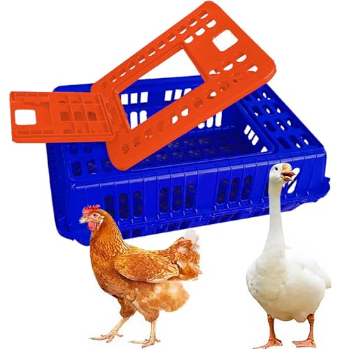 Geflügeltransportkiste, Hühnertransportkäfig aus Kunststoff, Geflügeltransportkorb, Design mit Vier Eckversteifungen, Design mit Doppelter Käfigtür, Große Kapazität, for Geflügel, Hühner, Vögel(Blue) von XGQXZWC