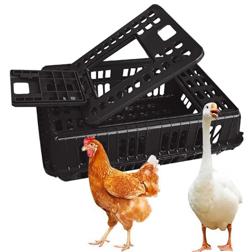 Geflügeltransportkiste, Hühnertransportkäfig aus Kunststoff, Geflügeltransportkorb, Design mit Vier Eckversteifungen, Design mit Doppelter Käfigtür, Große Kapazität, for Geflügel, Hühner, Vögel(Black) von XGQXZWC