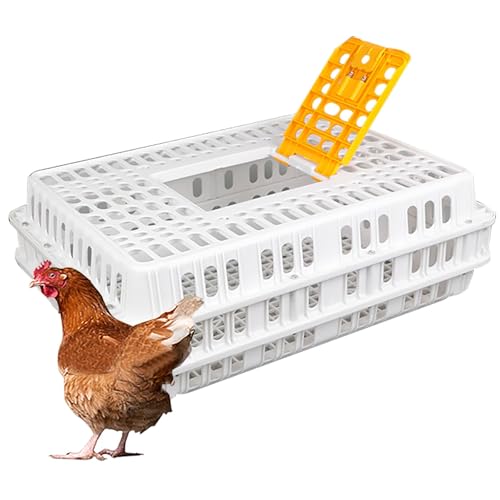 Geflügeltransportkiste, Hühnertransportkäfig aus Kunststoff, Hochleistungs-Hühnertransportbox, Jaulas para Gallinas, for Geflügel, Hühner, Vögel, Enten, Gänse(White) von XGQXZWC