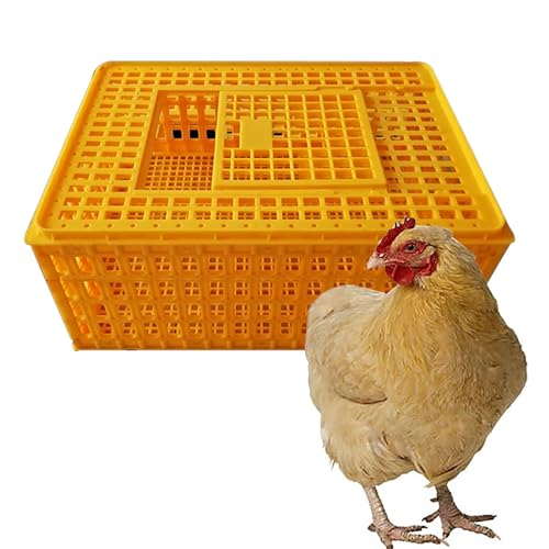 Geflügeltransportkiste, Hühnertransportkäfig aus Kunststoff, Hühnerreisekäfig, Geflügeltransportkorbbox, for 8-13 Erwachsene Hühner, for Geflügel, Hühner, Vögel, Enten(Orange,75x55x33 cm/30x22x13 in) Geflügeltransportkiste, Hühnertransportkäfig aus Kunststoff, Hühnerreisekäfig, Geflügeltransportkorbbox, for 8-13 Erwachsene Hühner, for Geflügel, Hühner, Vögel, Enten(Orange,75x55x33 cm/30x22x13 in) von XGQXZWC