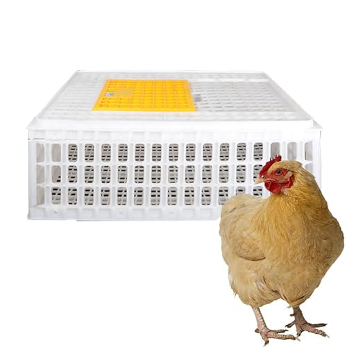 Geflügeltransportkiste, Hühnertransportkäfig aus Kunststoff, Hühnerreisekäfig, Geflügeltransportkorbbox, for 8-13 Erwachsene Hühner, for Geflügel, Hühner, Vögel, Enten(White,75x55x27 cm/30x22x11 in) Geflügeltransportkiste, Hühnertransportkäfig aus Kunststoff, Hühnerreisekäfig, Geflügeltransportkorbbox, for 8-13 Erwachsene Hühner, for Geflügel, Hühner, Vögel, Enten(White,75x55x27 cm/30x22x11 in) von XGQXZWC