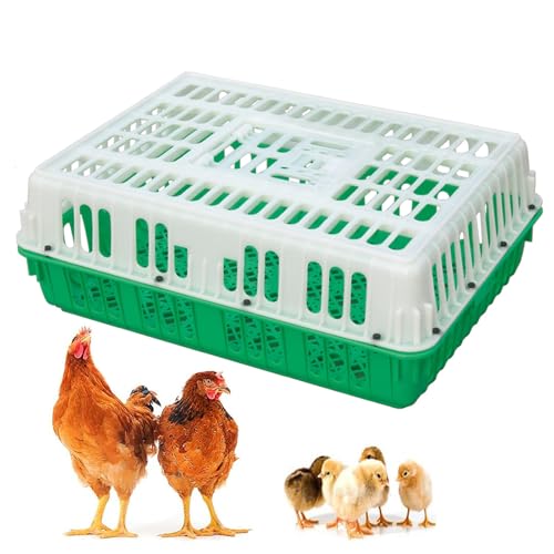 Geflügeltransportkiste, Hühnertransportkiste aus Kunststoff, Geflügeltransportkorb mit Griff, Vier Eckversteifungen, for Vögel, Enten, Gänse, 8–11 Erwachsene Hühner(Green) von XGQXZWC