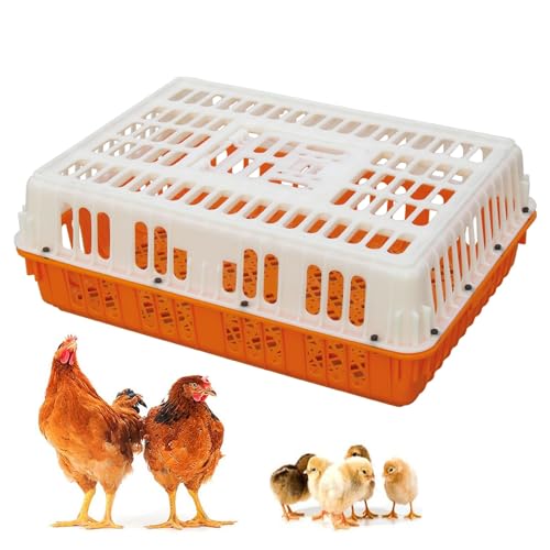 Geflügeltransportkiste, Hühnertransportkiste aus Kunststoff, Geflügeltransportkorb mit Griff, Vier Eckversteifungen, for Vögel, Enten, Gänse, 8–11 Erwachsene Hühner(Orange) von XGQXZWC