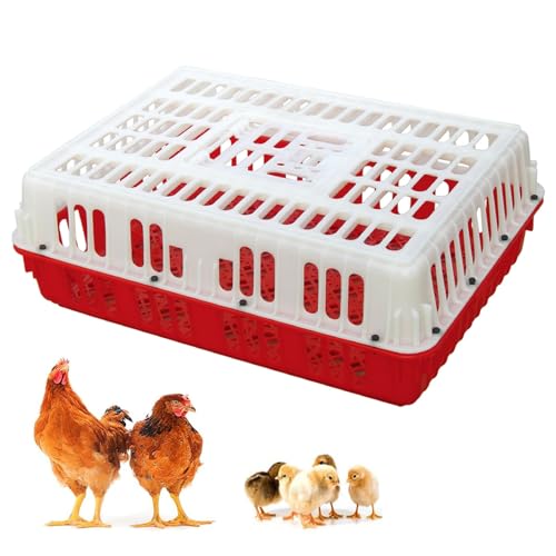 Geflügeltransportkiste, Hühnertransportkiste aus Kunststoff, Geflügeltransportkorb mit Griff, Vier Eckversteifungen, for Vögel, Enten, Gänse, 8–11 Erwachsene Hühner(Red) von XGQXZWC