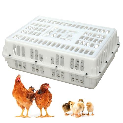 Geflügeltransportkiste, Hühnertransportkiste aus Kunststoff, Geflügeltransportkorb mit Griff, Vier Eckversteifungen, for Vögel, Enten, Gänse, 8–11 Erwachsene Hühner(White) von XGQXZWC